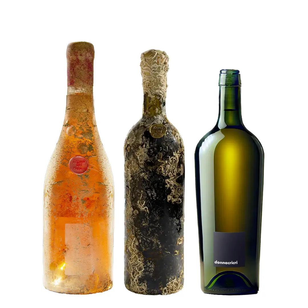 i nostri premiati