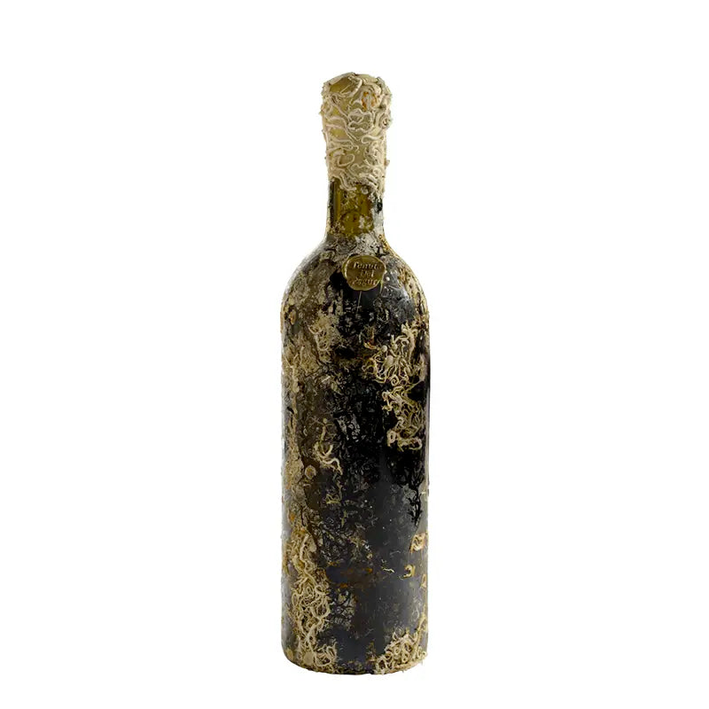 Pagurus, Sangiovese