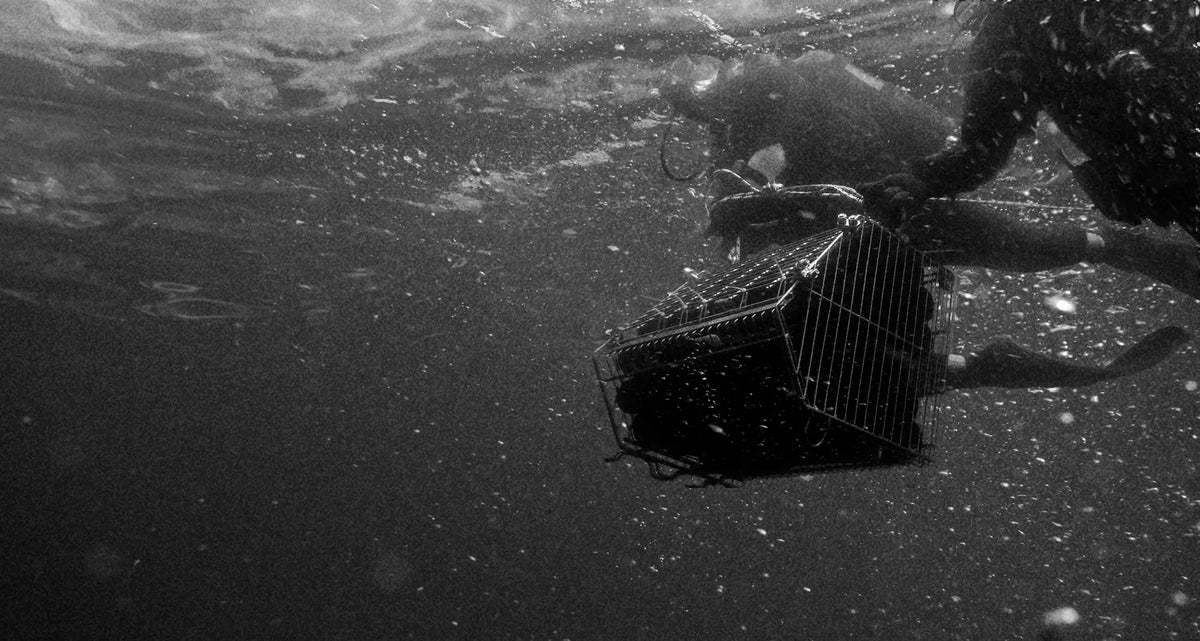 <p>con la collaborazione di una squadra di subacquei, gianluca ha affondato nel reef del relitto della piattaforma paguro, ad una profondità di 30 metri, le casse di vino. <br/><br/>l’intuizione rivoluzionaria di affinare il vino in mare, svela un fenomeno straordinario: il vino si evolve grazie a quattro fattori determinanti. alla pressione, alla temperatura, al movimento delle correnti e alla luce.<br/><br/></p>